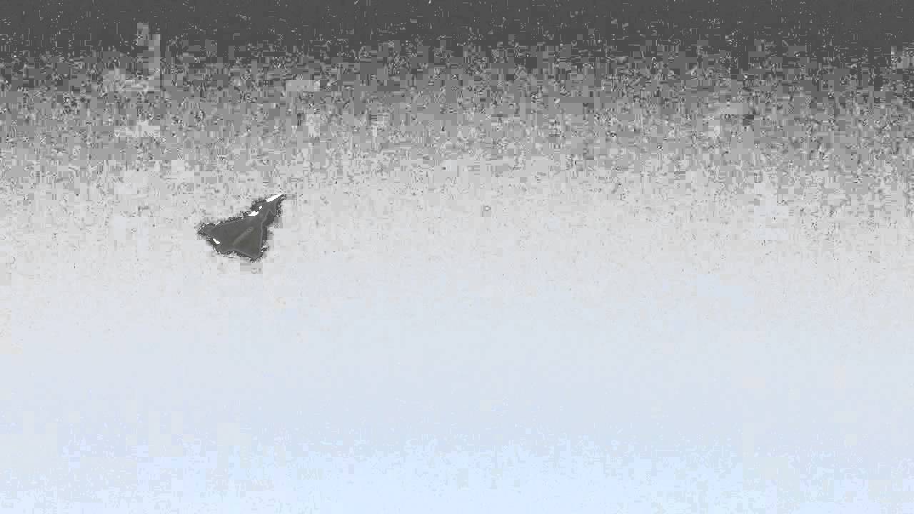 Eurofighter @ Tannkosh '11