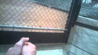 MEETME com date #2 15 03 2015 79ozMj2ZIZU