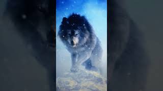 Dire Wolf sound effects