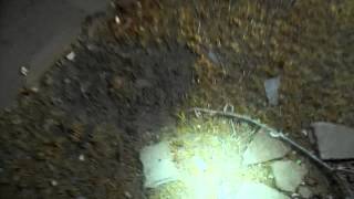 Urbex Adventure: Abandoned House Off of Old Highway 58 Barstow, CA