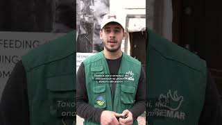 Як працюють пункти незламності у Рівному #shorts