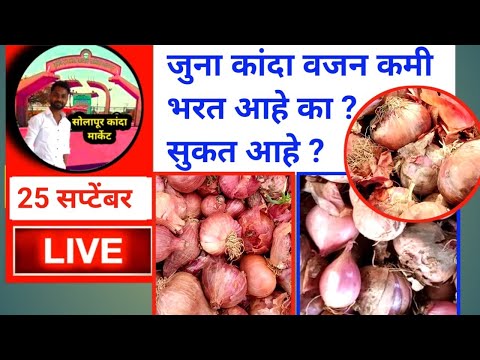 सोलापूर कांदा भाव आणि जुना कांदा लिलाव @SolapurKandamarketblog
