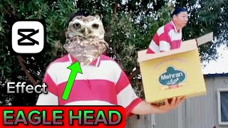 Creative Transition Eagle HEAD Effects Editing Tutorial🔥 Vfx Editing Capcut