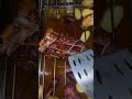 Caja china de pollo y cerdo