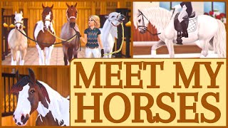 Meet My 4 Horses: Eventers, Projects, & Jumpers II Star Stable Realistic Roleplay