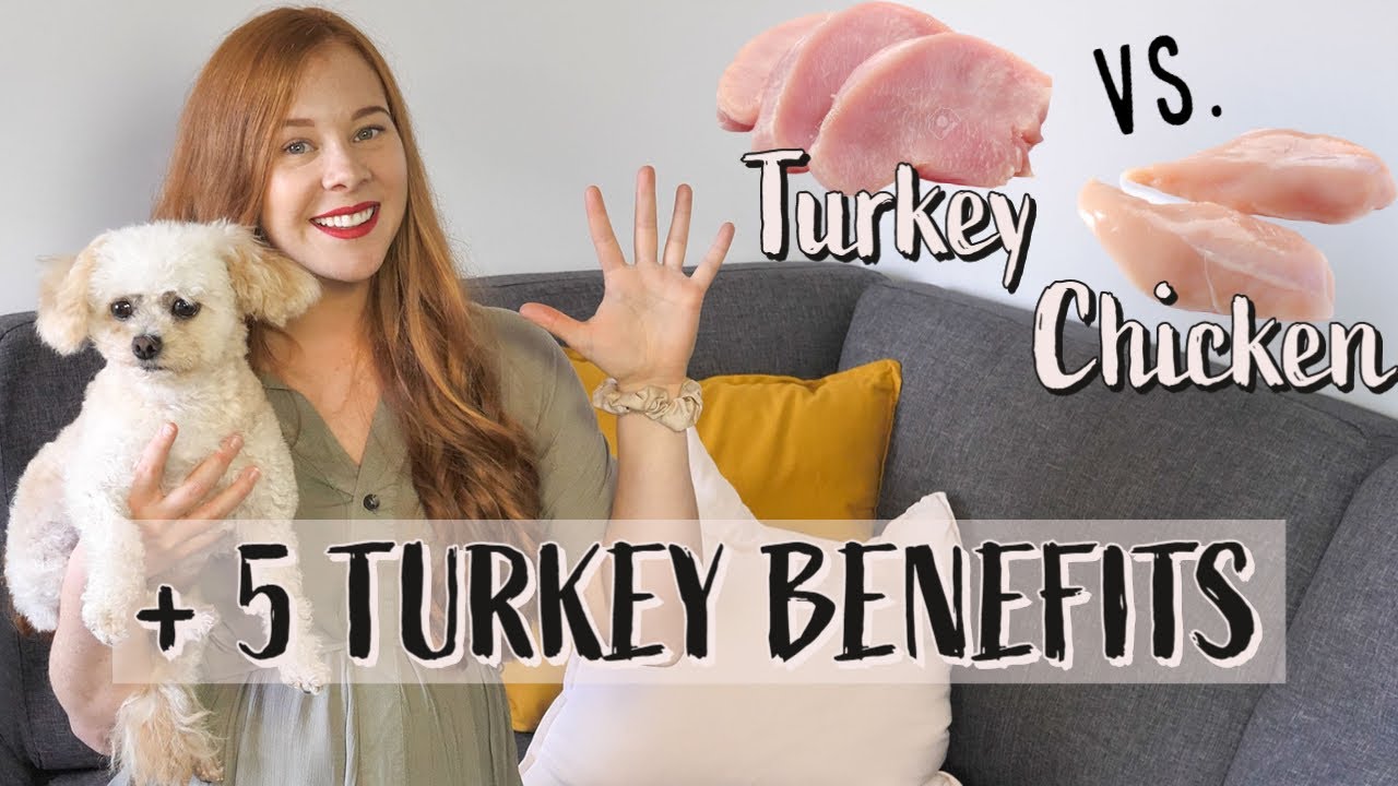 TURKEY VS. CHICKEN- 5 REASONS TURKEY IS AN EXCELLENT PROTEIN SOURCE FOR DOGS🐾 🍗
