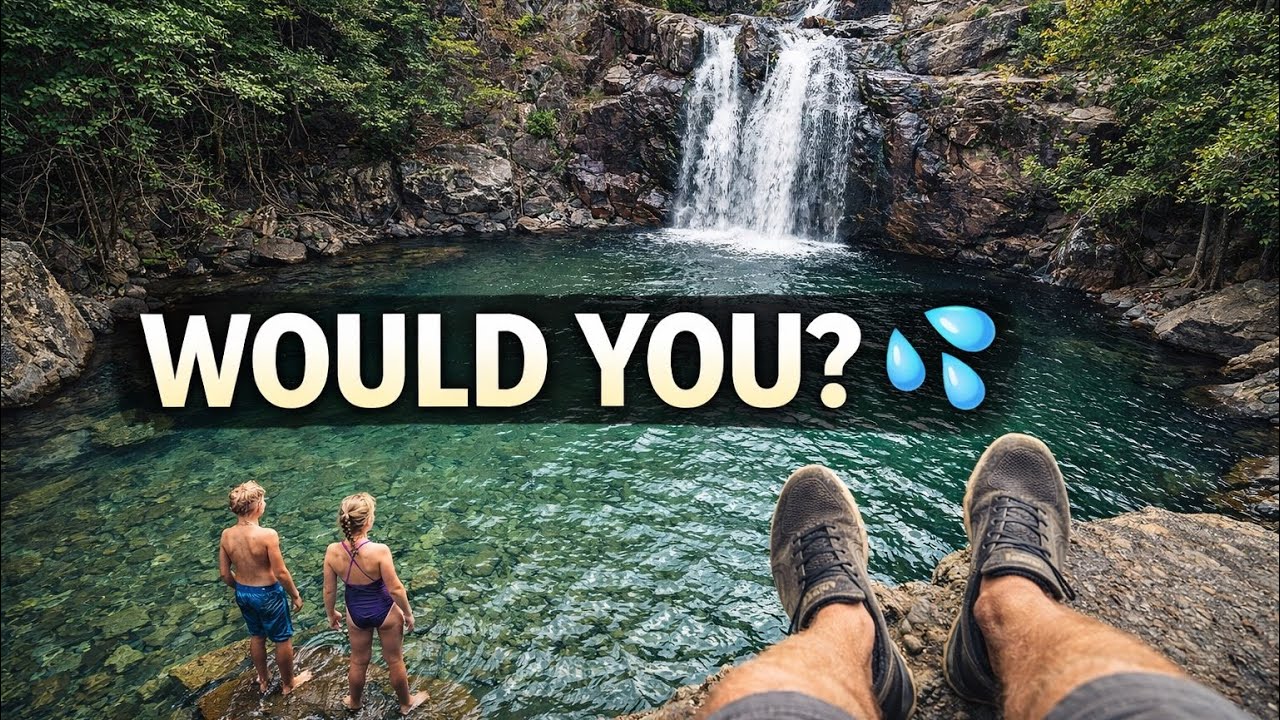 Would You Jump Here? | Cedar Creek Falls, QLD