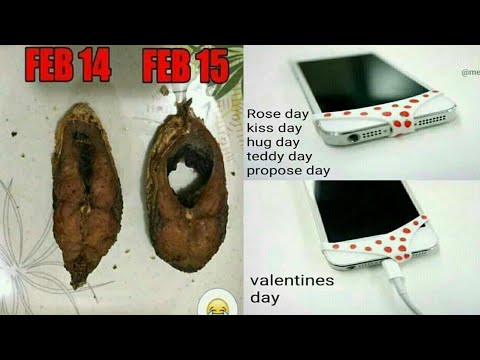 valentine's-day-funniest-memes-for-couples-|-part1