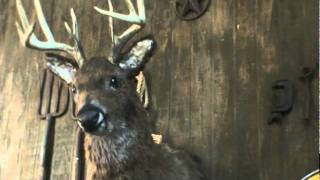 Animatronic Deer 3