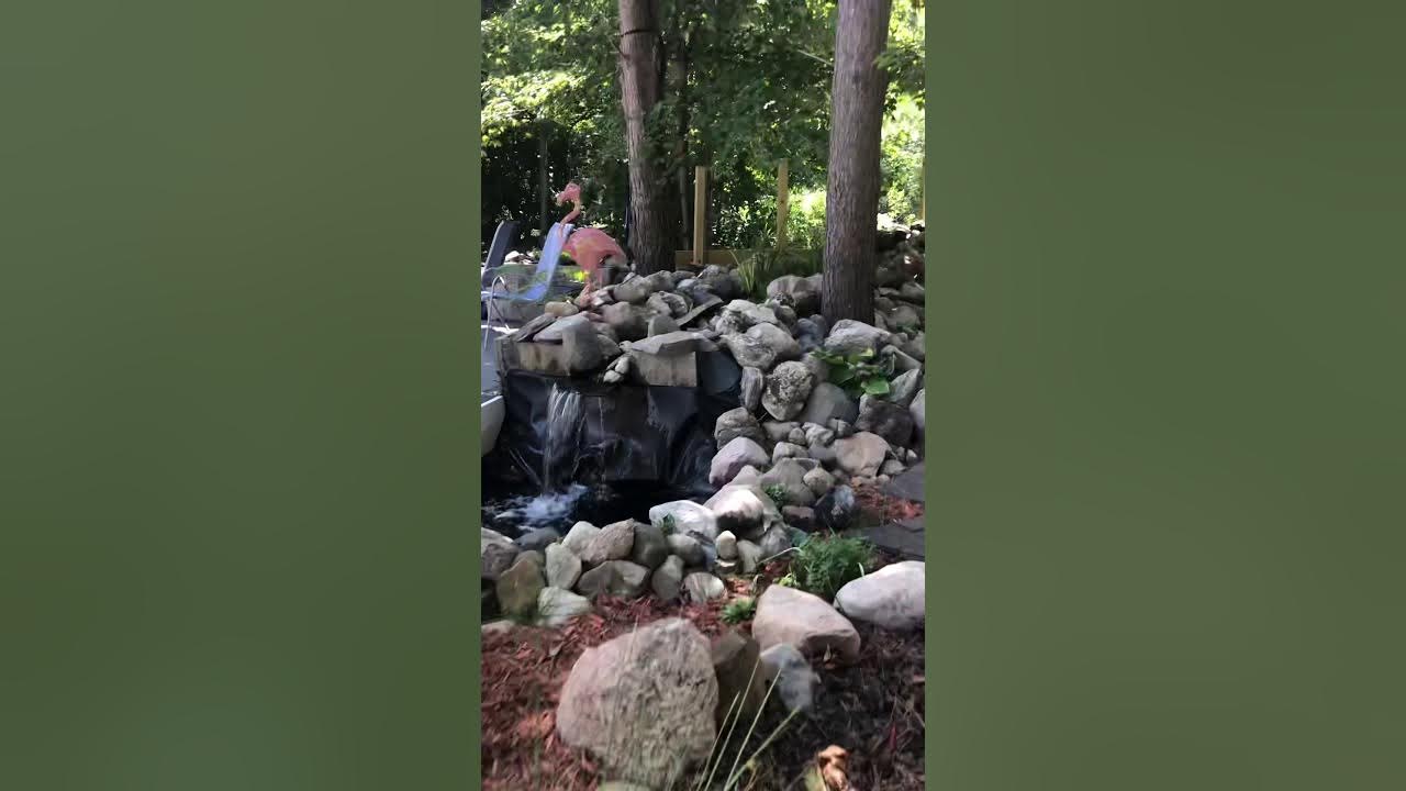 Koi Pond (Michigan) YouTube