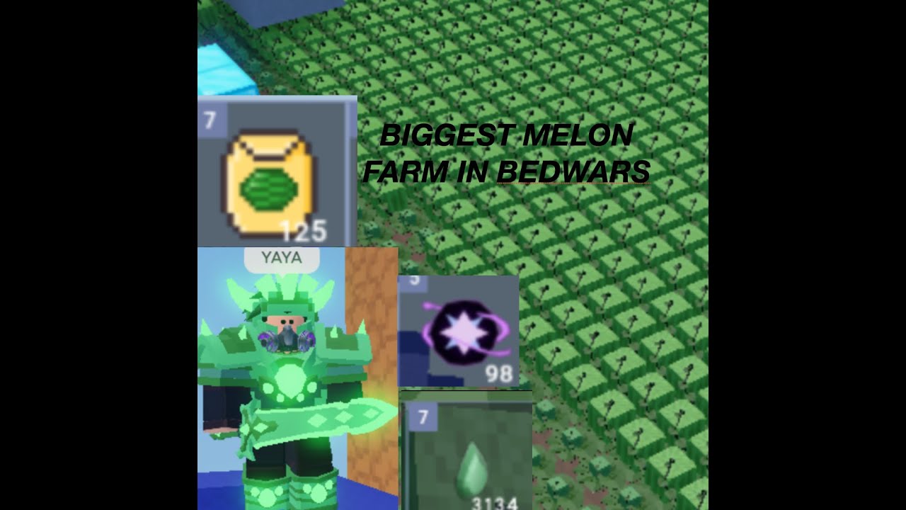 **BIGGEST MELON FARM IN BEDWARS** (Bigger then Dv's and beef playz farm