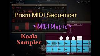 Details Prism MIDI Sequencer to Koala Sampler Setup Tutorial Update