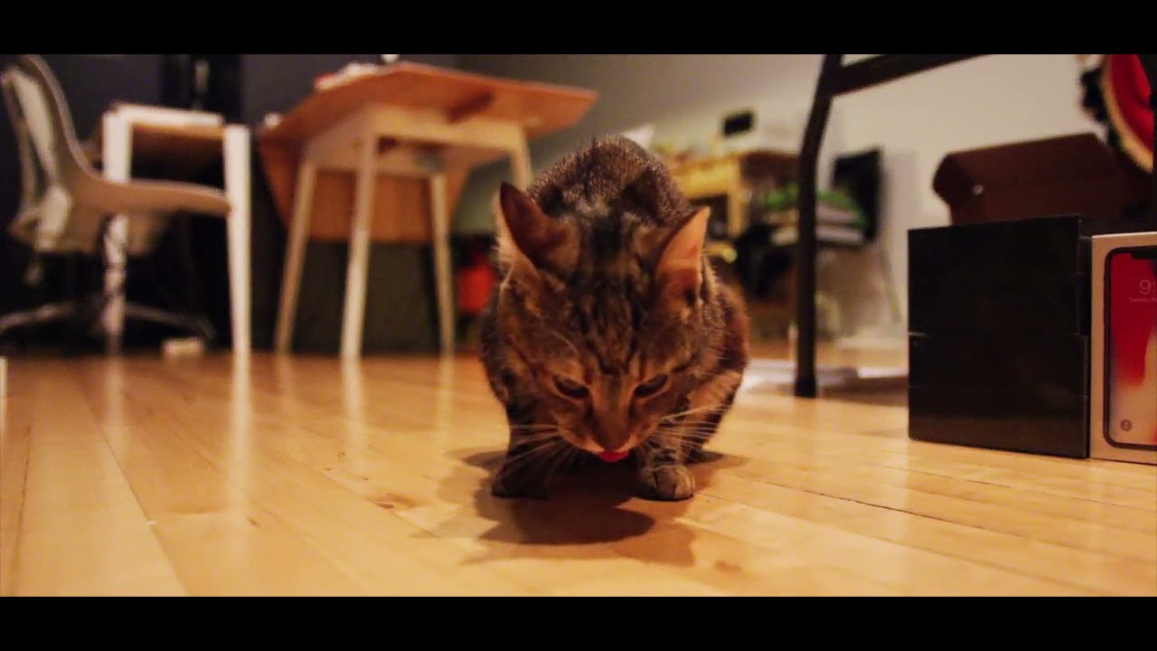 ECM Outtakes: Enigma RED RAVEN Test