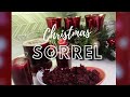 VLOGMAS DAY 24: Traditional Jamaican Sorrel Juice