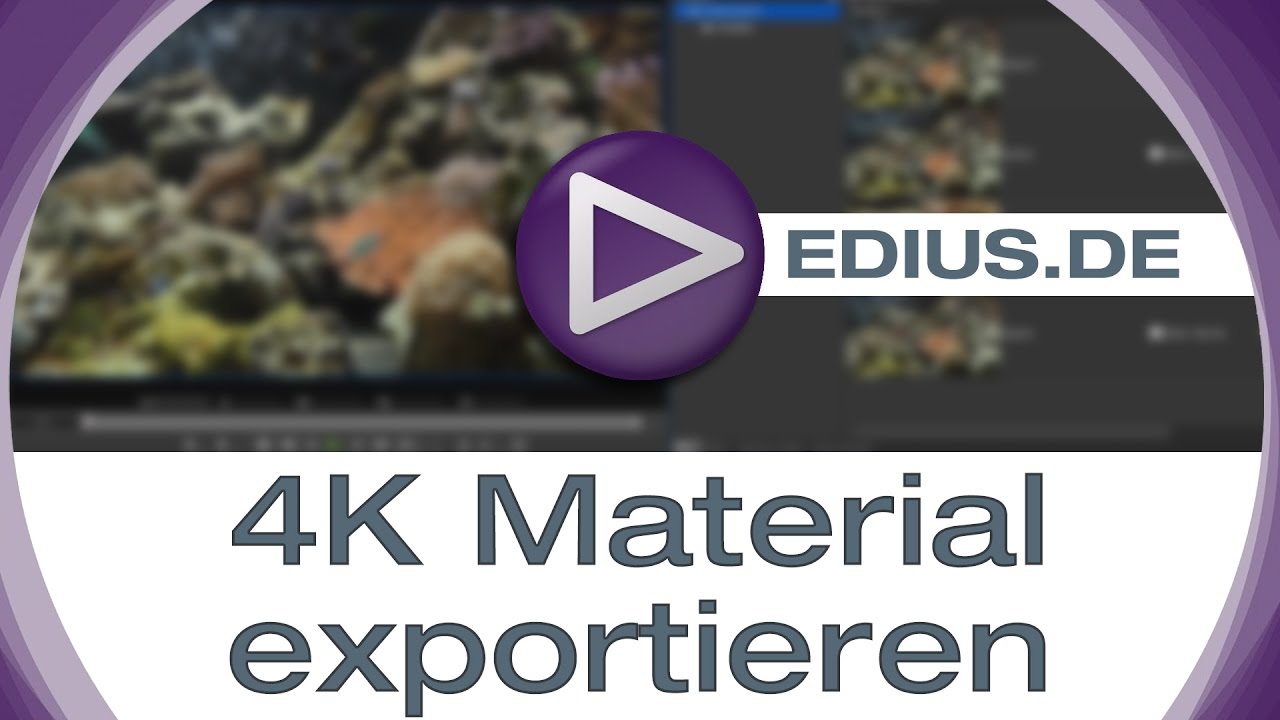 EDIUS Podcast - 4K Material exportieren
