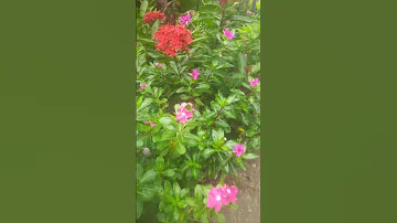30 July 2025 