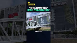 "이 정도면 천재 마케팅" 월드컵 광고 금지가 오히려 득? / KNN