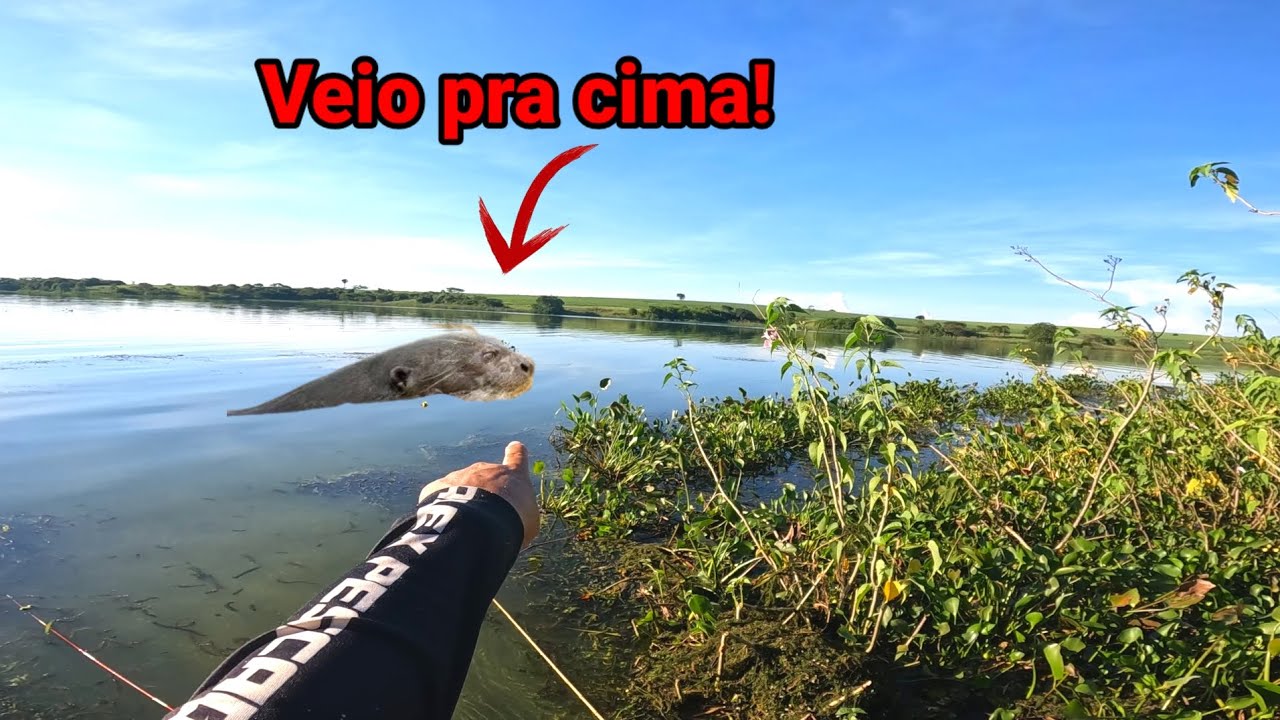 Na pescaria tem dessas coisas, do nada ela apareceu e acabou com tudo 