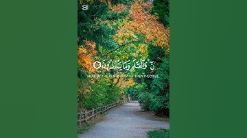 القرآن الكريم راحة نفسية ❤️ #القرآن_الكريم #المصحف #اكسبلور