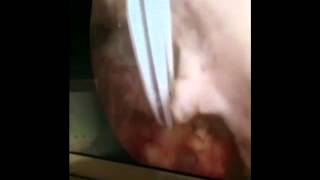 Mauro Maglio-11