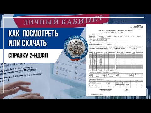 Как посмотреть или скачать справку 2-НДФЛ