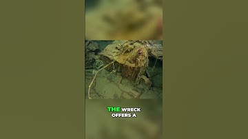 80-Year-Old Shipwreck Found: Uncovering WWII Secrets #shorts