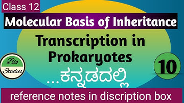 Class 12 - Molecular Basis of Inheritance - 10