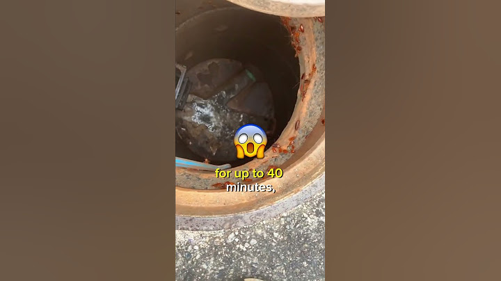 ⚠ Cockroaches in your drains? Take charge now! | Getting rid of cockroaches | Edmonton pest control