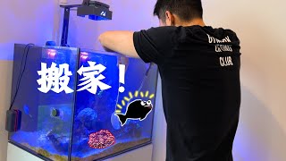 Trading coral with a new fish for our 200 gallon reef tank