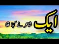 Aik shayer ne kaha tha  peer ajmal raza qadri   islamic   us writer 