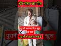 हीर रांझा का गीत पशुओं को सुनने आते हैं हर वर्ष #heerranjhasong #vairalshorts #vairalvideo #sach24