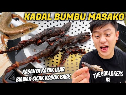 Video: Apa Yang Makan Kadal?