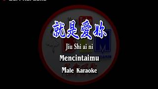 Jiu Shi ai ni - 就是愛妳 - Male Karaoke - Terjemahan - Pinyin - Lyrics - Lirik