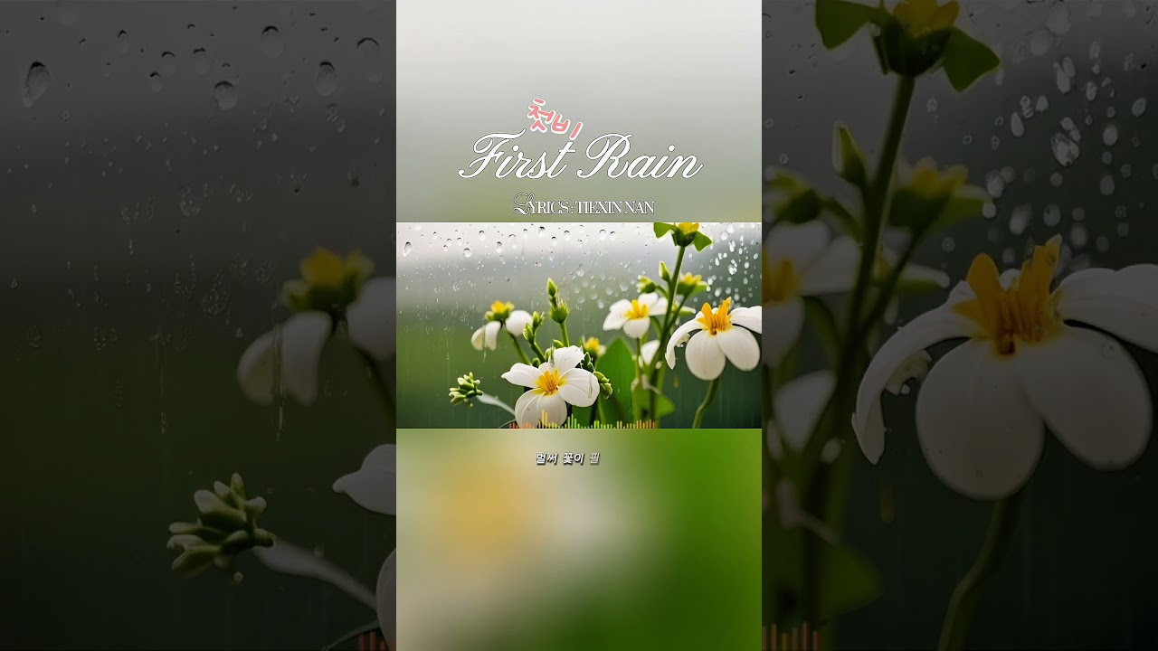 【Music】첫비 #음악 #노래 #music #song