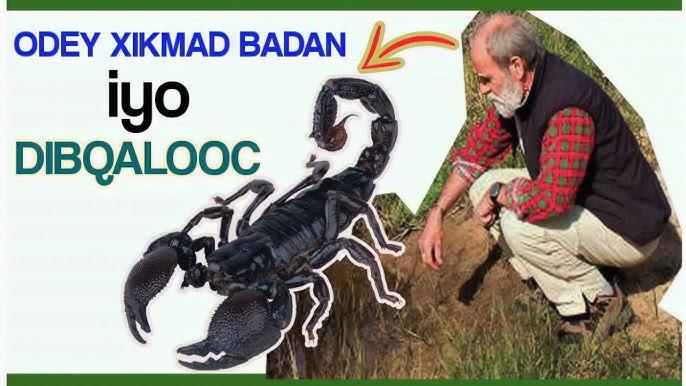 Rus swingerlarini dialog bilan porno tomosha qiling