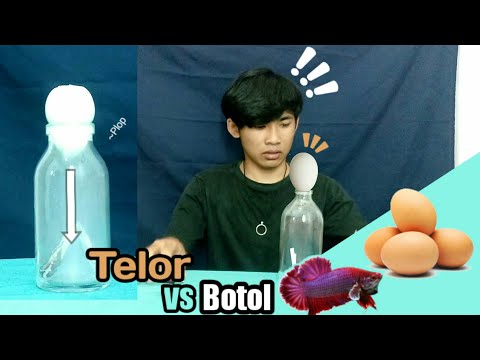 Video: Cara Memasukkan Telur Ayam Ke Dalam Botol