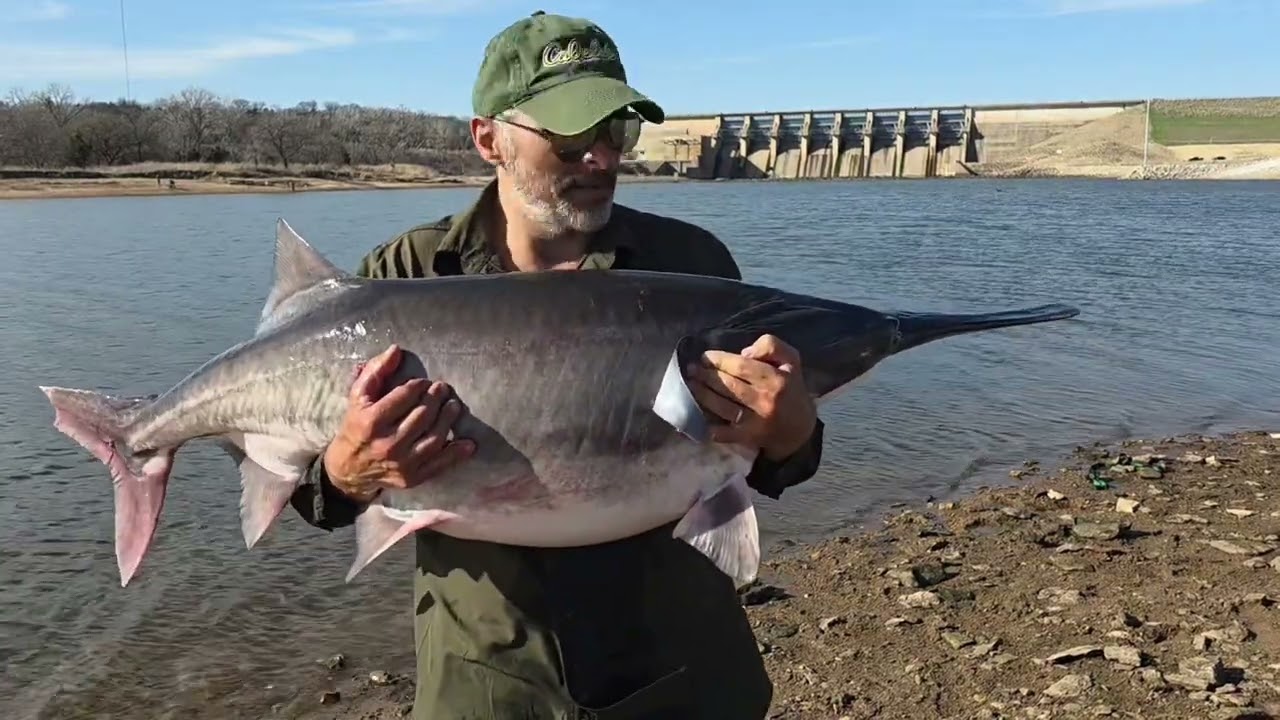 Gone fishing paddlefish or spoonbill in  Oklahoma, Kaw Lake Dam 