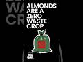 Why Almonds Are a Zero Waste Crop