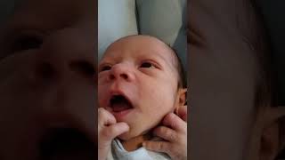 Cute Newborn Baby Sounds