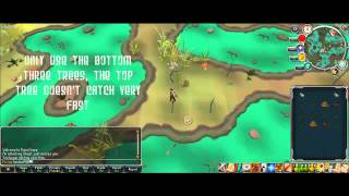 Runesticks 1-99 Hunter guide