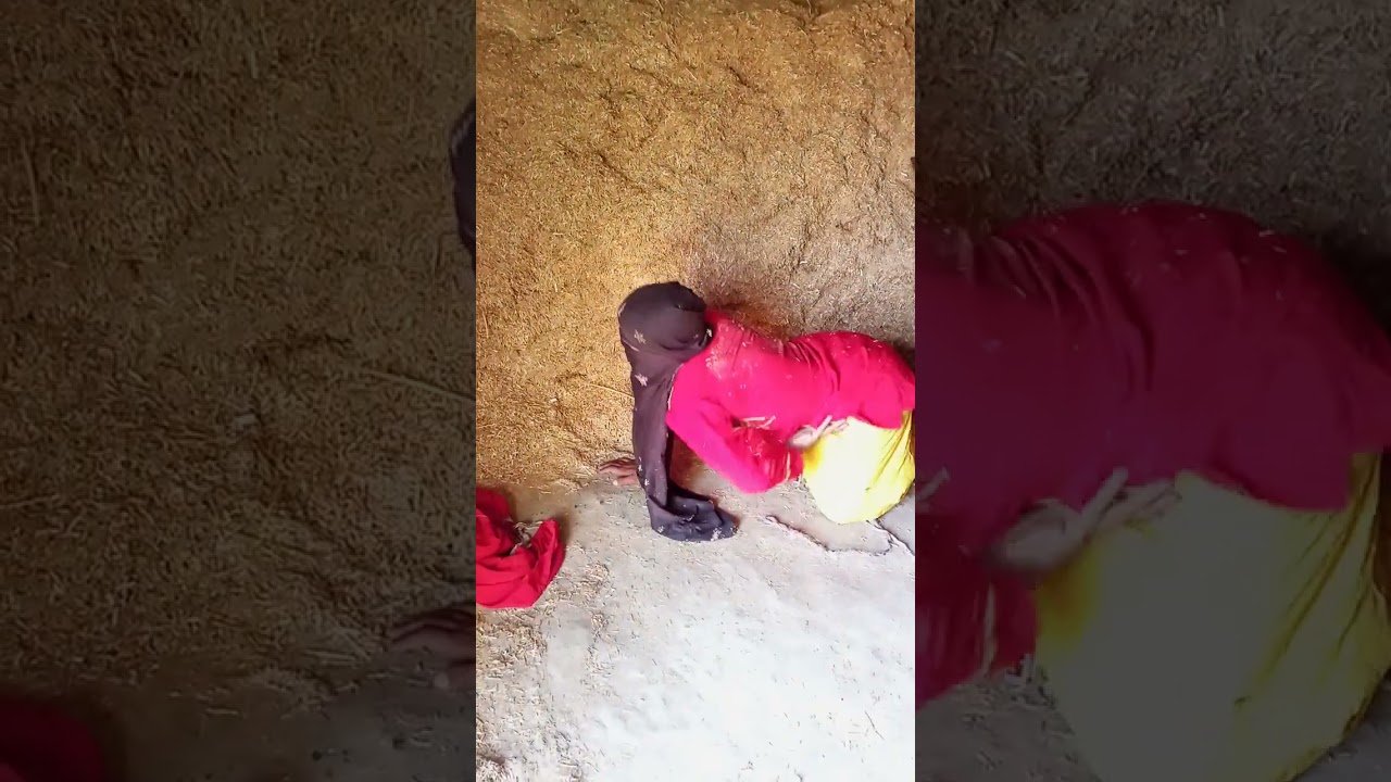 My funny 🤣😂 donkey animal donkey Kong #mariovsdonkeykong #funnydonkey #animals #funny  