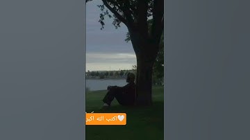 إبداع الآسر🧡 #ياسر_الدوسري #قرآن #اكسبلور #تلاوة_خاشعة #راحة_نفسية #سكينة_القلب #المصحف #تدبر_آية
