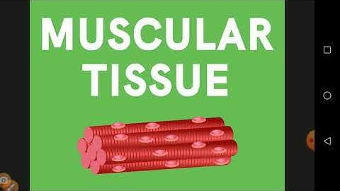 IDEAL & ADHARSH GRADE IX