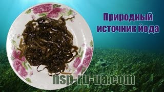Салат из морской капусты, содержания йода, польза Салат из морской капусты, содержания йода, польза