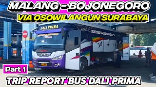 RUTE JARANG TEREKSKPOS ‼️MALANG - BOJONEGORO VIA OSOWILANGUN SURABAYA | Trip Bus Dali Prima ATB