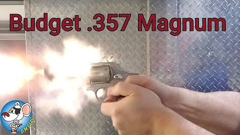 Cover Image for Taurus Model 65 Review