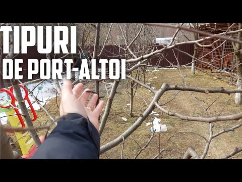 Ce este portaltoiul de tip Franc ! TIPURI DE PORT-ALTOI!