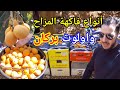 انواع فاكهة المزاح في واولوت بركان اتمنة وجودة گريف زيرو بوعويد mp3