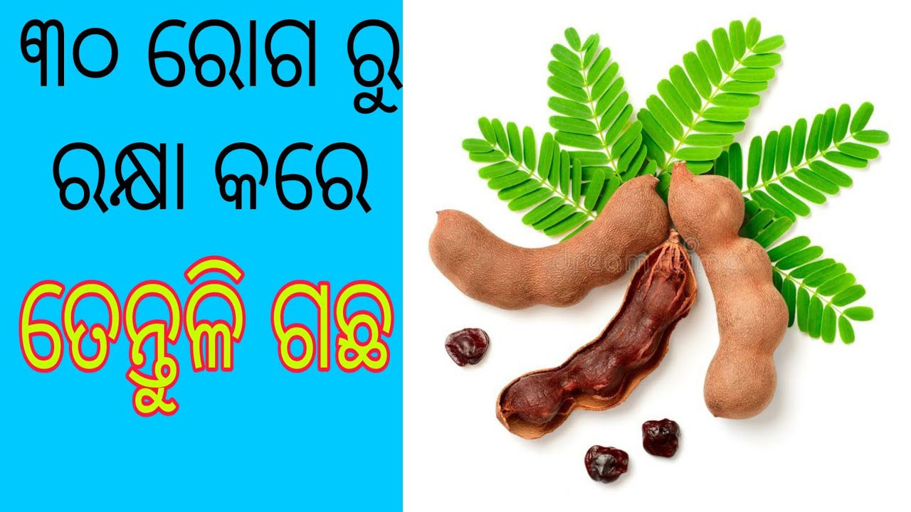 ତେନ୍ତୁଳି ଗଛର ପତ୍ର ଫୁଲ ଫଳ ମଞ୍ଜି ର ଔଷଧୀୟ ଉପଯୋଗ। କଇଁଆ ଗଛ। Tamarind benefits in odia,