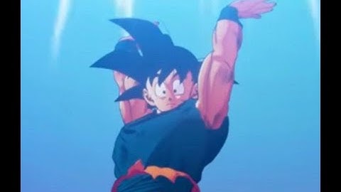 Ran into a hacker in DBOG ranked